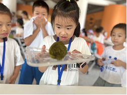 2028体育_网站首页登录注册